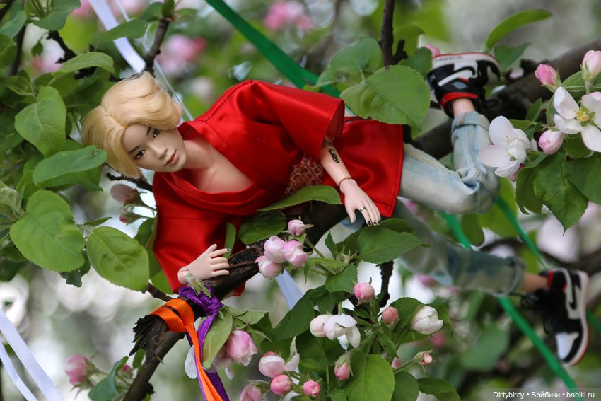 Красивое — Куклы и тела Obitsu (Обитсу): 1/6