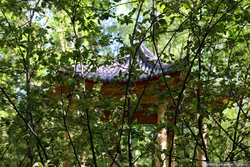 Куда уехал Виктор Ким — Куклы и тела Obitsu (Обитсу): 1/6 (фото 9)