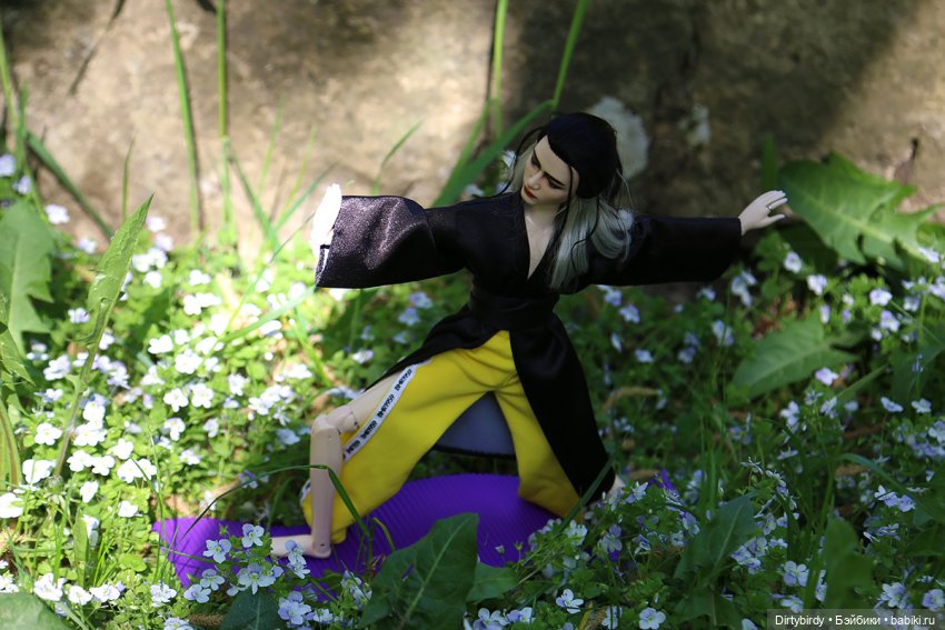 Куда уехал Виктор Ким — Куклы и тела Obitsu (Обитсу): 1/6