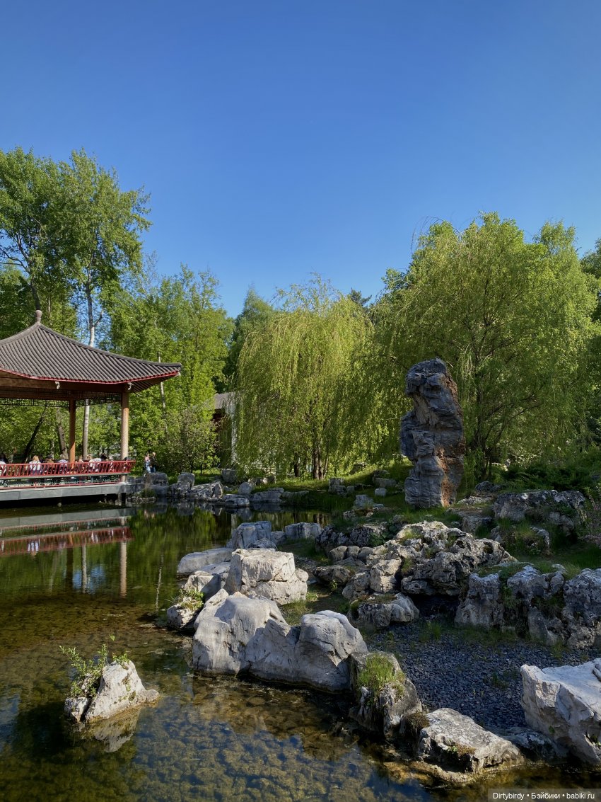 Куда уехал Виктор Ким — Куклы и тела Obitsu (Обитсу): 1/6