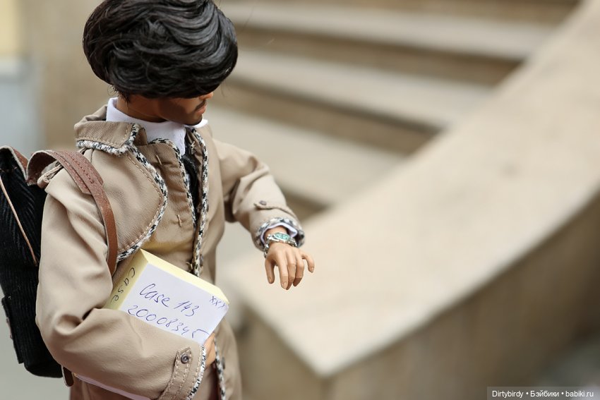 Трудовые будни адвоката Перрена | Бэйбики Трудовые будни адвоката Перрена (фото 2)