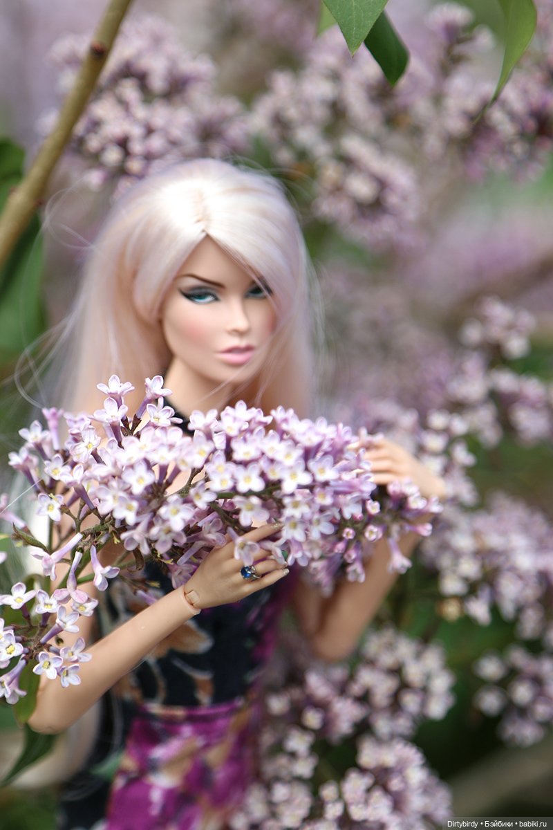 Один раз в год сады цветут