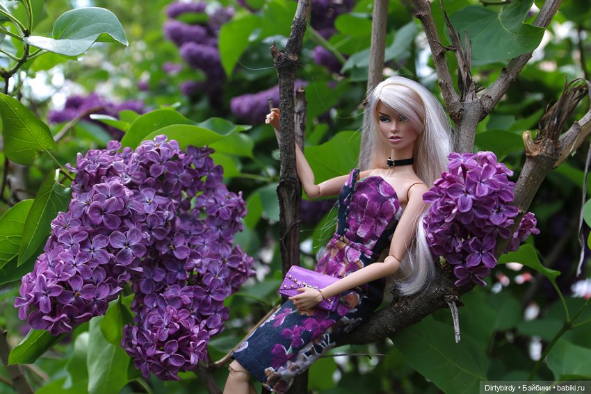 Один раз в год сады цветут (фото 8)