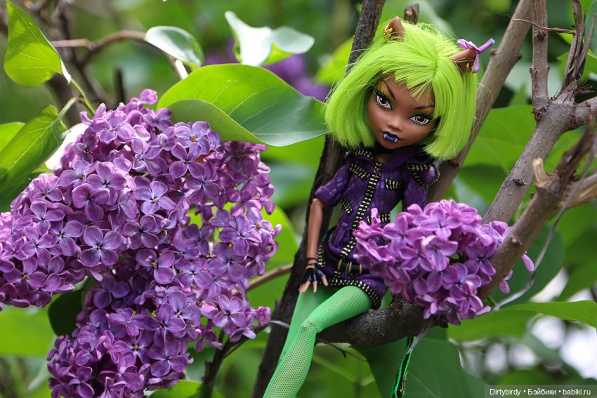 Это не то, что вы думаете или Монстряшка в сирени (фото 8)