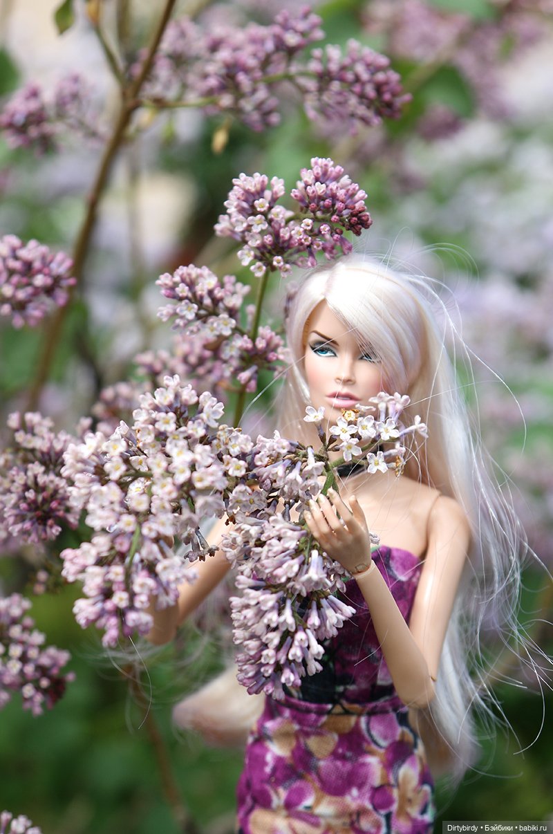 Один раз в год сады цветут