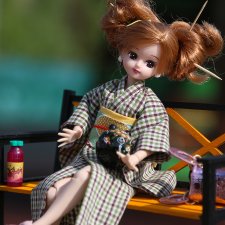 Новый любовный план Ликки.