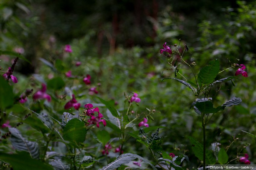 Новый способ медитации — Куклы и тела Obitsu (Обитсу): 1/6