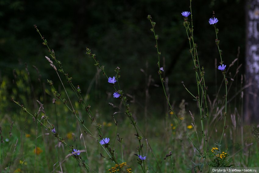 Новый способ медитации — Куклы и тела Obitsu (Обитсу): 1/6