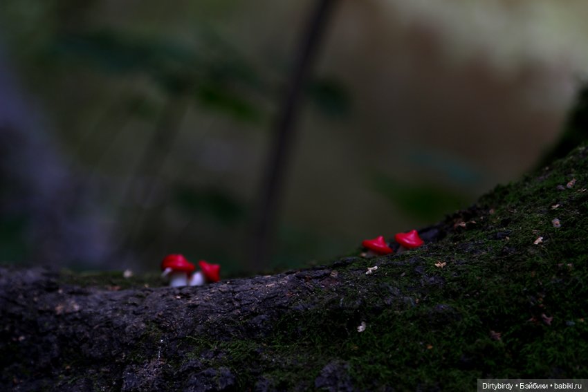 Новый способ медитации — Куклы и тела Obitsu (Обитсу): 1/6