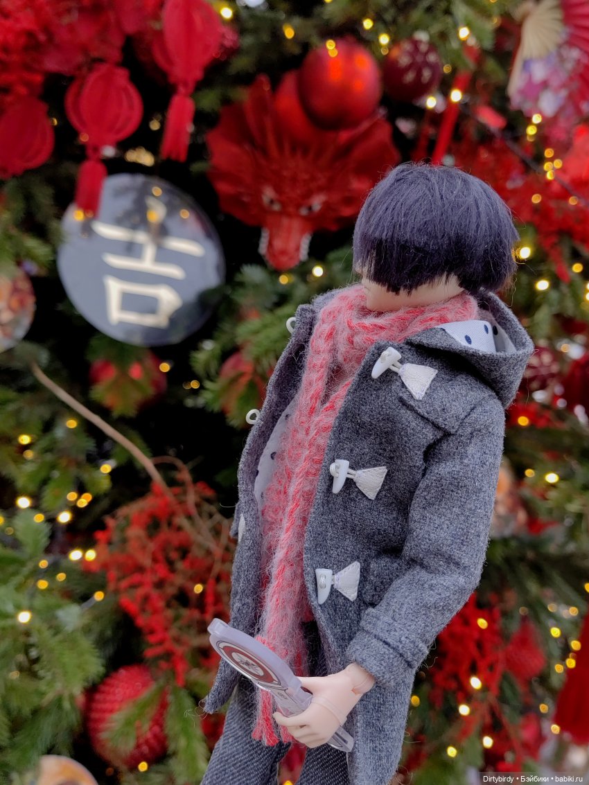 Как безумно богатый фанат k-pop в общагу ёлочку выбирал (фото 10)