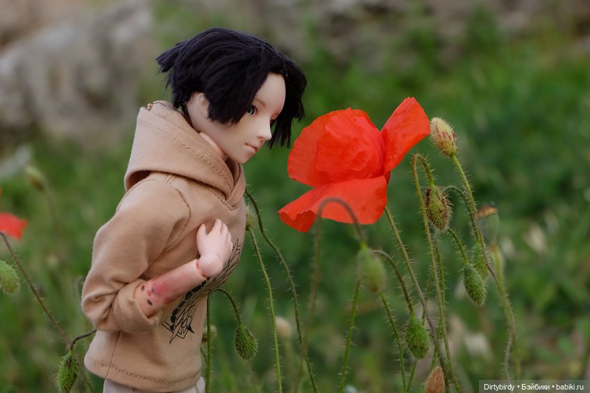 И потом, на развалинах часовни (фото 6)