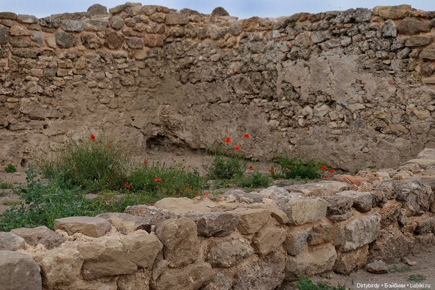 И потом, на развалинах часовни (фото 4)