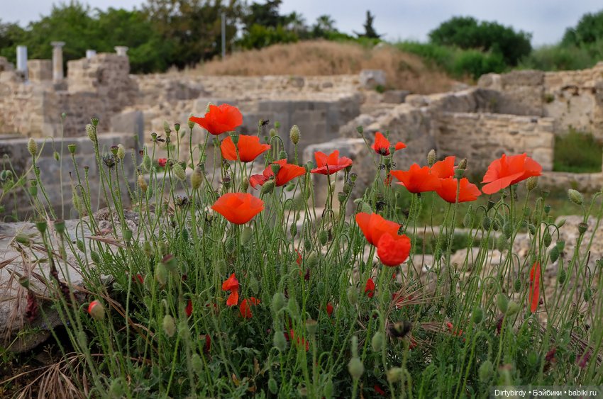 И потом, на развалинах часовни (фото 5)
