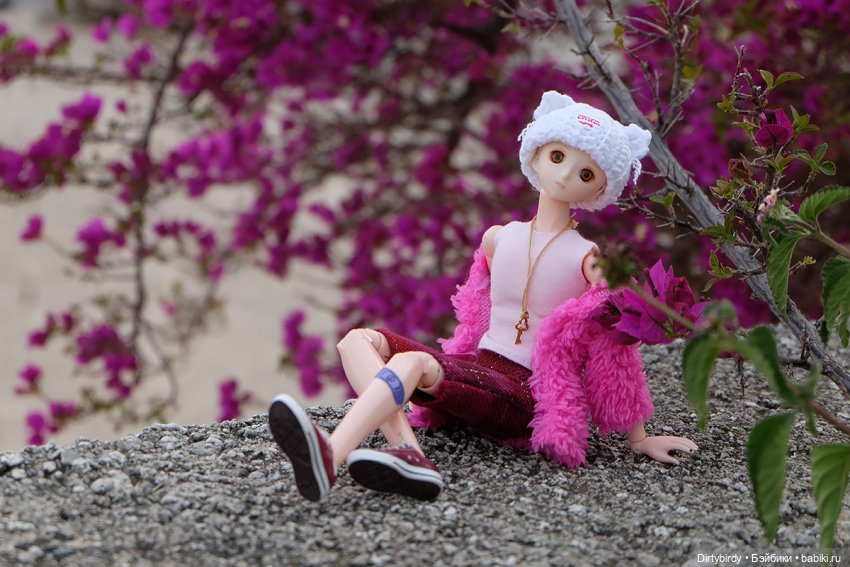 Добро пожаловать, новенький (фото 3)