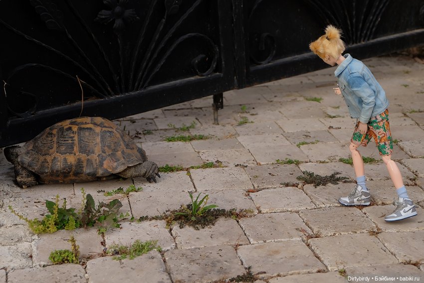 Ковры и другие красоты — Куклы и тела Obitsu (Обитсу): 1/6 (фото 5)