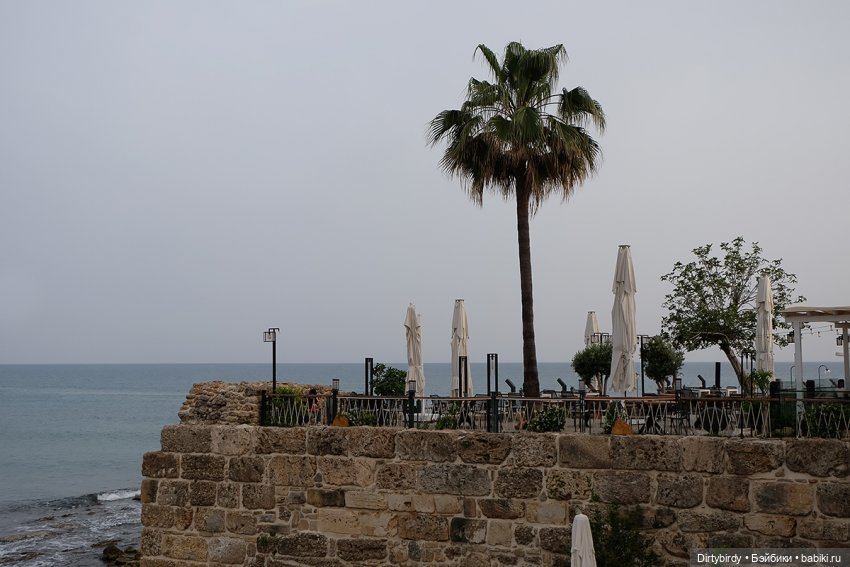 Ковры и другие красоты — Куклы и тела Obitsu (Обитсу): 1/6