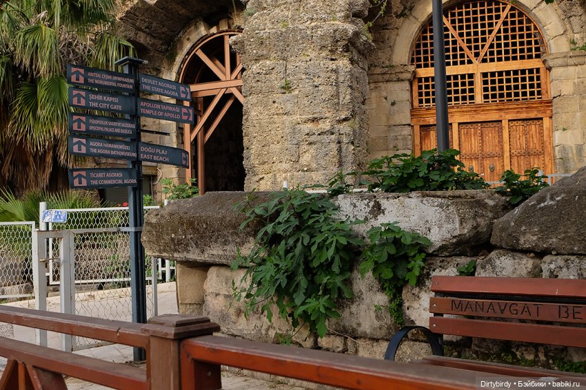 Ковры и другие красоты — Куклы и тела Obitsu (Обитсу): 1/6 (фото 2)