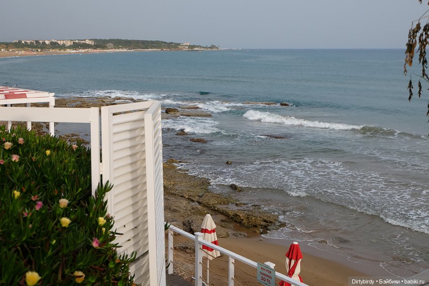 Ковры и другие красоты — Куклы и тела Obitsu (Обитсу): 1/6 (фото 7)