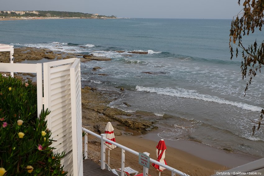 Ковры и другие красоты — Куклы и тела Obitsu (Обитсу): 1/6 (фото 6)