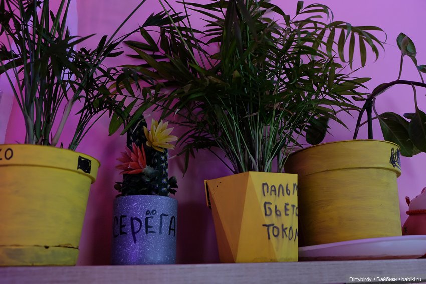 А вы хотите стать айдолом