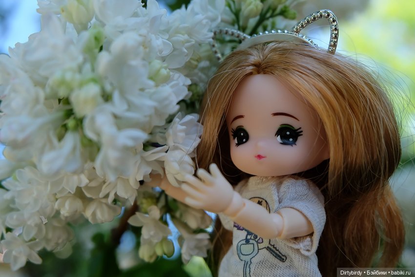 Что за детский сад — Куклы и тела Obitsu (Обитсу): 1/6