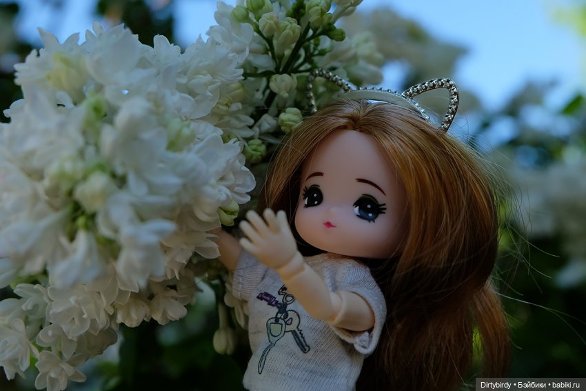 Что за детский сад — Куклы и тела Obitsu (Обитсу): 1/6