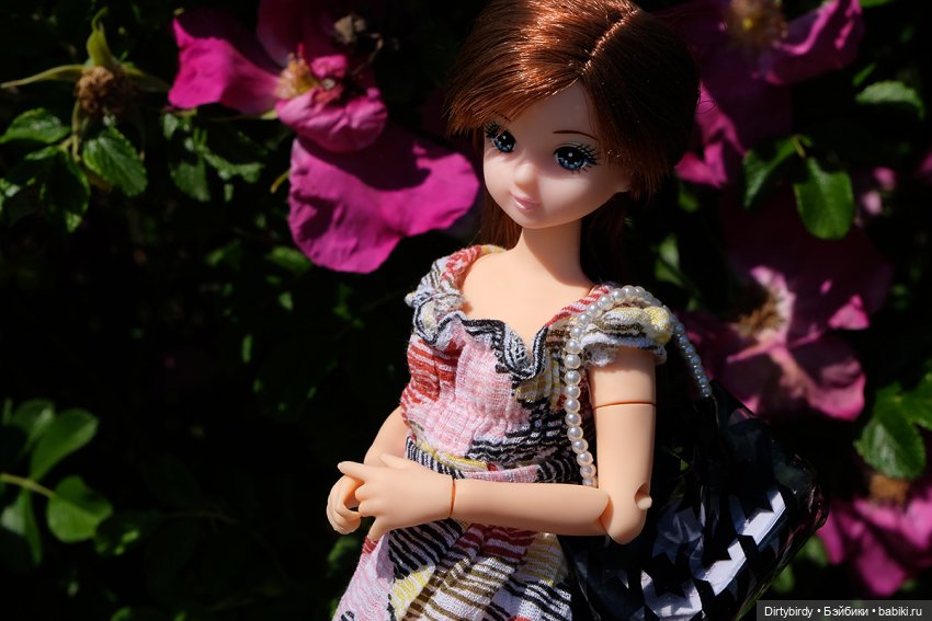 Знакомьтесь, Ким Мари — Куклы Takara Tomy (Такара): Licca (Ликка) (фото 4)