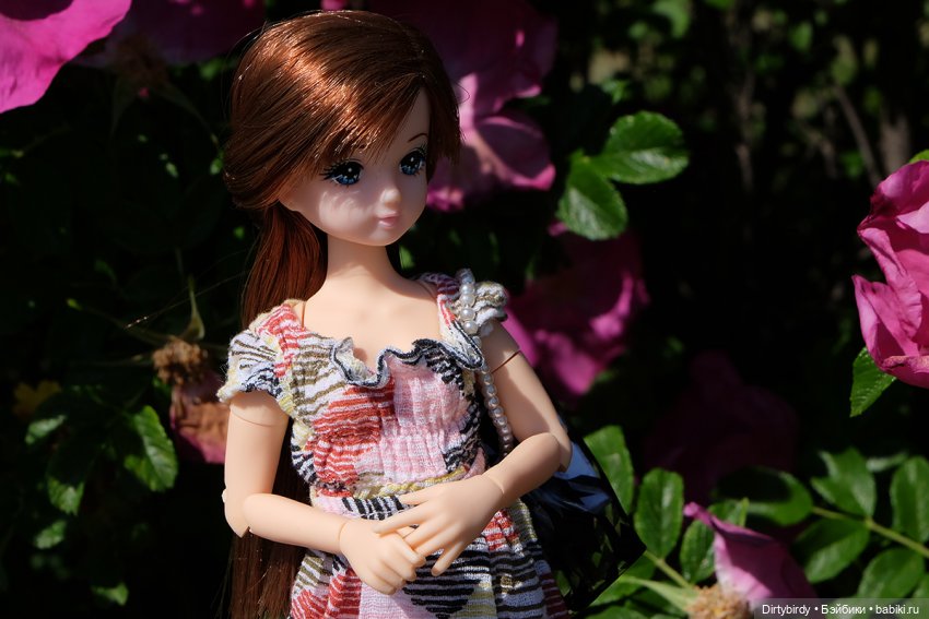 Знакомьтесь, Ким Мари — Куклы Takara Tomy (Такара): Licca (Ликка) (фото 5)