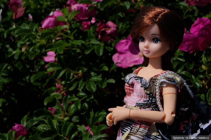 Знакомьтесь, Ким Мари — Куклы Takara Tomy (Такара): Licca (Ликка) (фото 3)