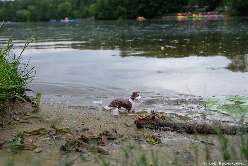 Давай дружить — Куклы Takara Tomy (Такара): Licca (Ликка) (фото 8)