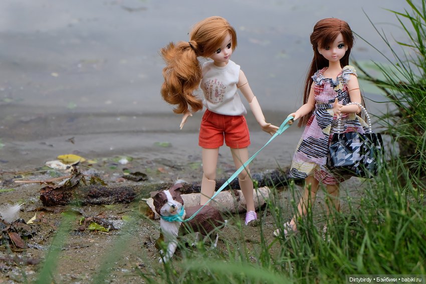 Давай дружить — Куклы Takara Tomy (Такара): Licca (Ликка)