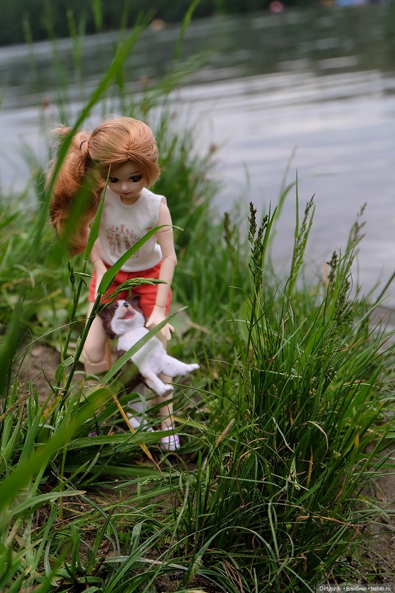 Давай дружить — Куклы Takara Tomy (Такара): Licca (Ликка)