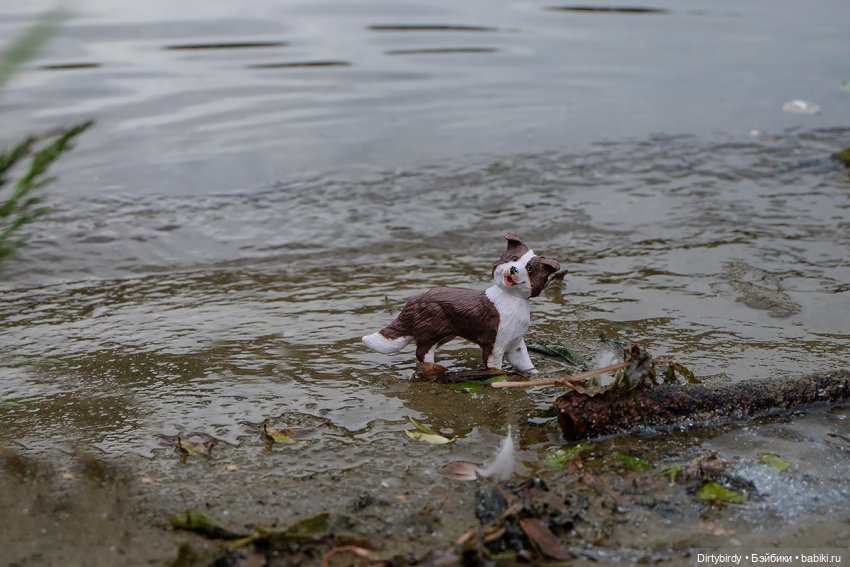 Давай дружить — Куклы Takara Tomy (Такара): Licca (Ликка) (фото 9)
