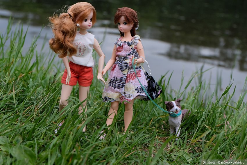 Давай дружить — Куклы Takara Tomy (Такара): Licca (Ликка)