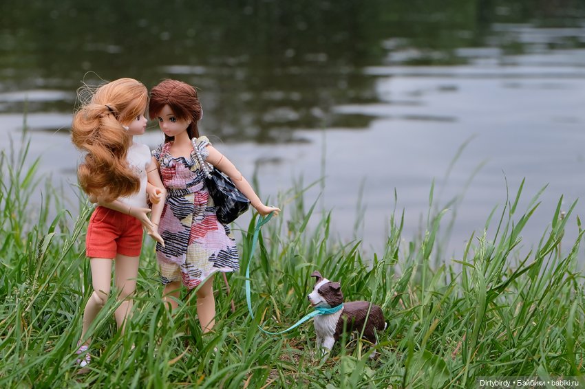 Давай дружить — Куклы Takara Tomy (Такара): Licca (Ликка)