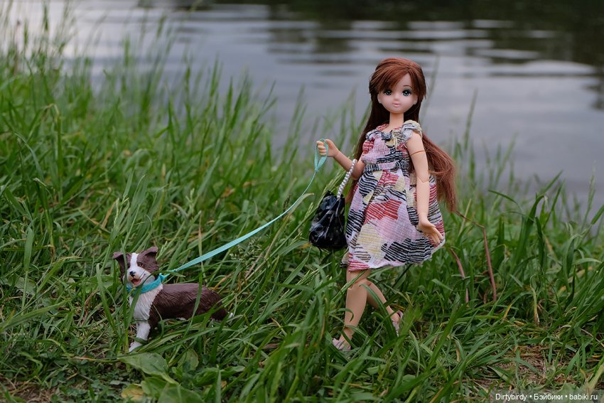 Давай дружить — Куклы Takara Tomy (Такара): Licca (Ликка) (фото 5)