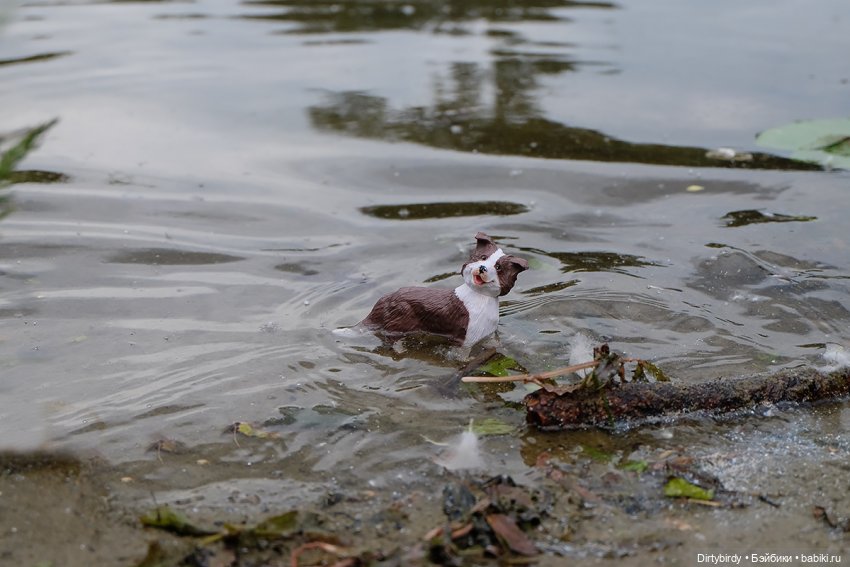 Давай дружить — Куклы Takara Tomy (Такара): Licca (Ликка) (фото 10)