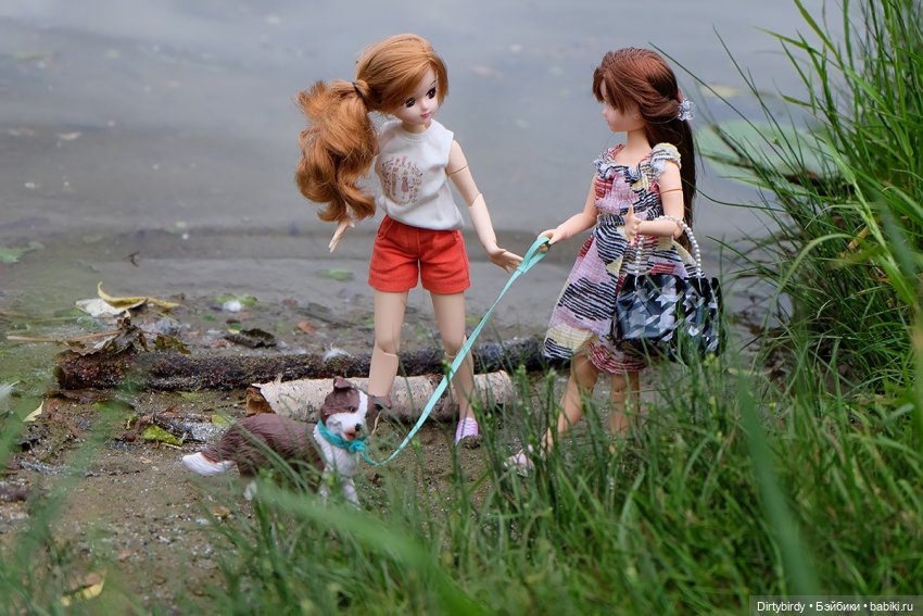 Давай дружить — Куклы Takara Tomy (Такара): Licca (Ликка)