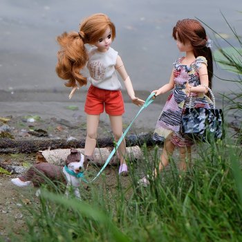 Давай дружить