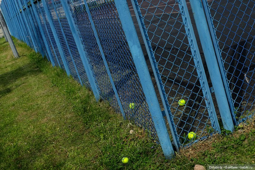 Спортивный интерес дядюшки Рэя | Бэйбики Спортивный интерес дядюшки Рэя (фото 10)