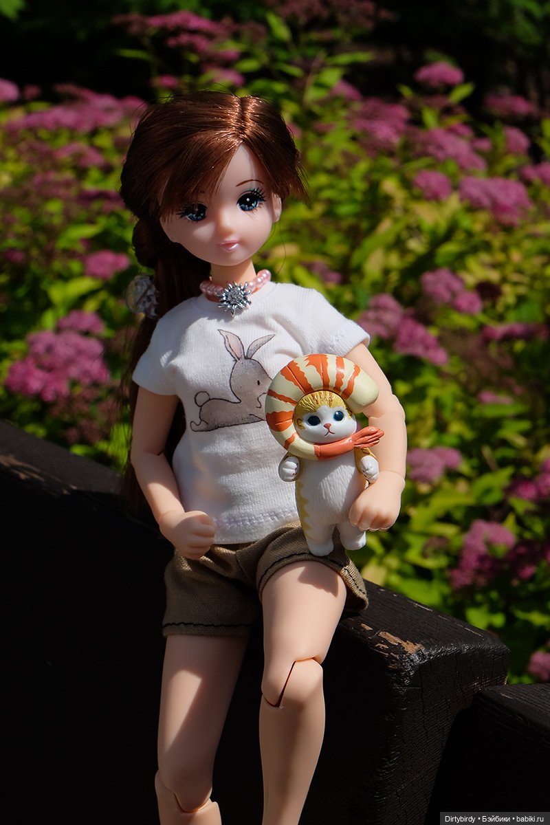 Котики и кошечки — Куклы Takara Tomy (Такара): Licca (Ликка) (фото 5)