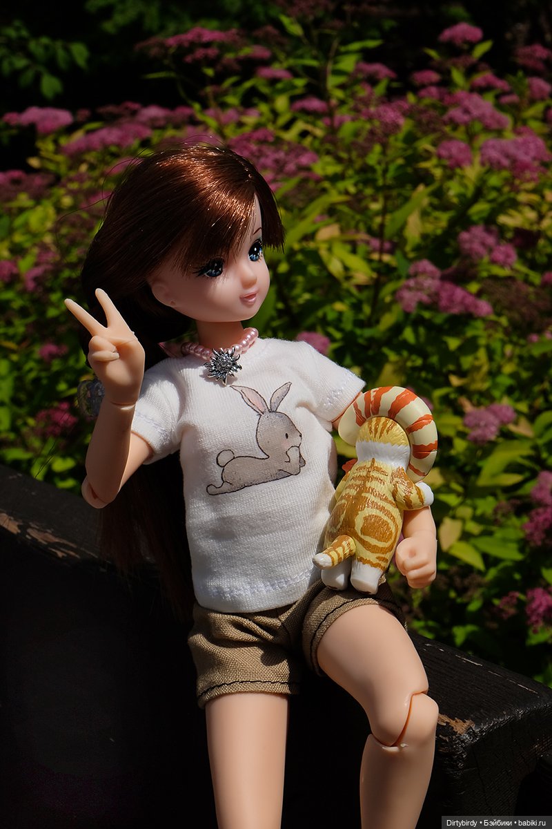 Котики и кошечки — Куклы Takara Tomy (Такара): Licca (Ликка) (фото 7)