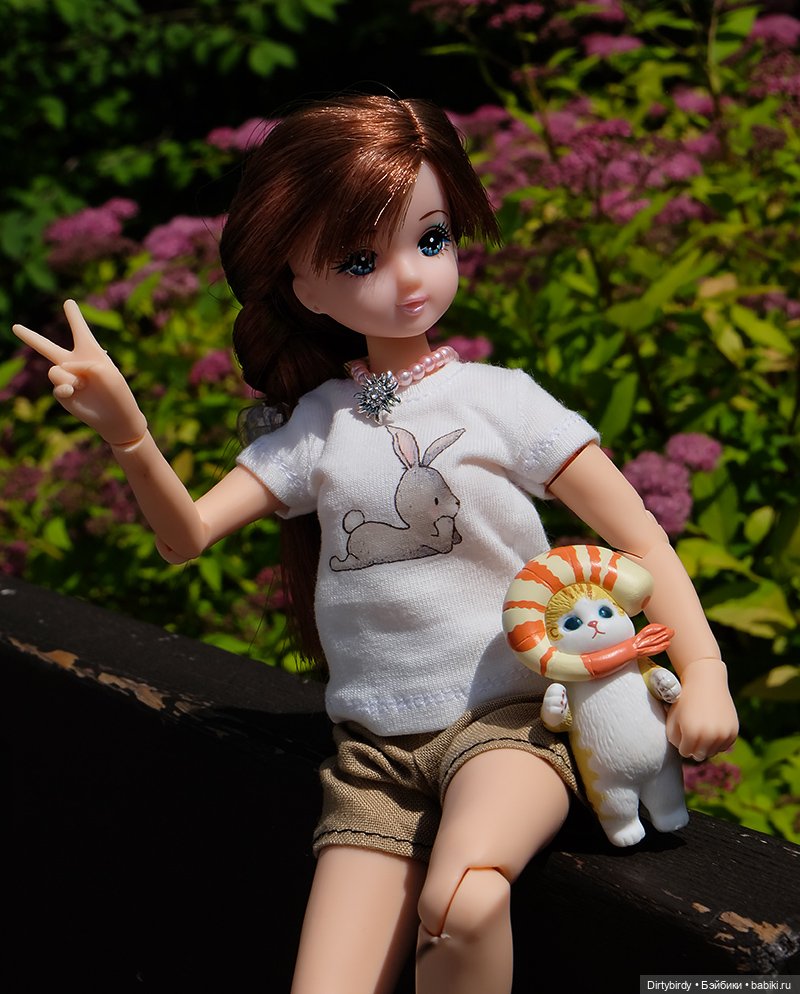 Котики и кошечки — Куклы Takara Tomy (Такара): Licca (Ликка) (фото 6)