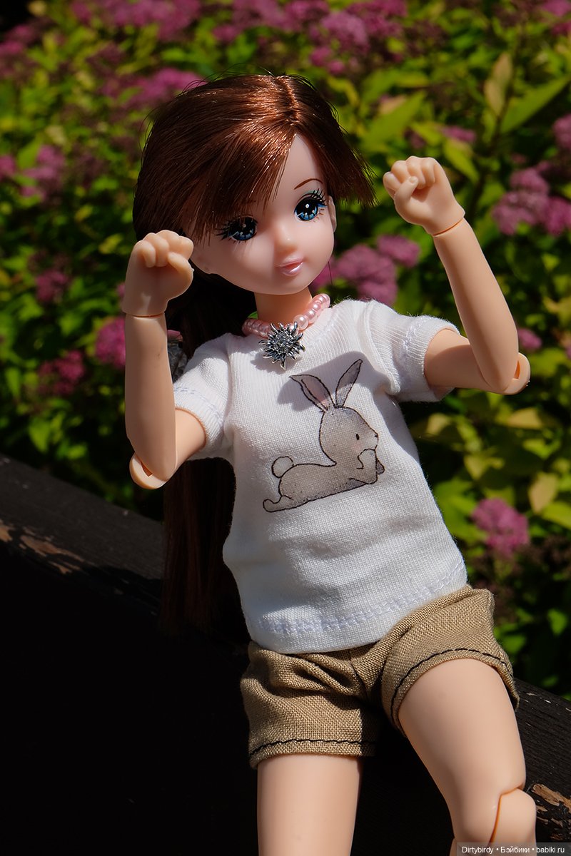 Котики и кошечки — Куклы Takara Tomy (Такара): Licca (Ликка) (фото 3)