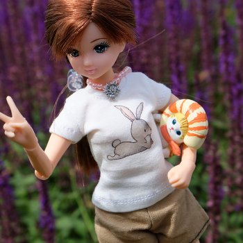 Котики и кошечки