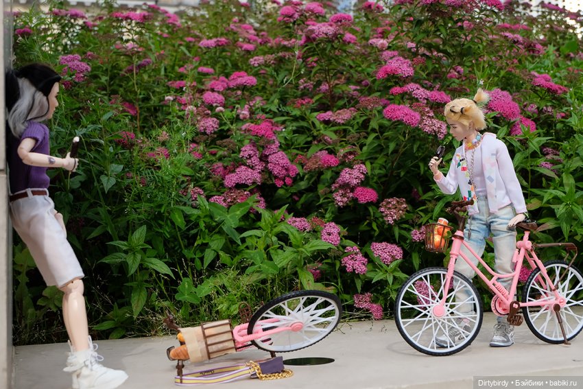 Докатились или докатались