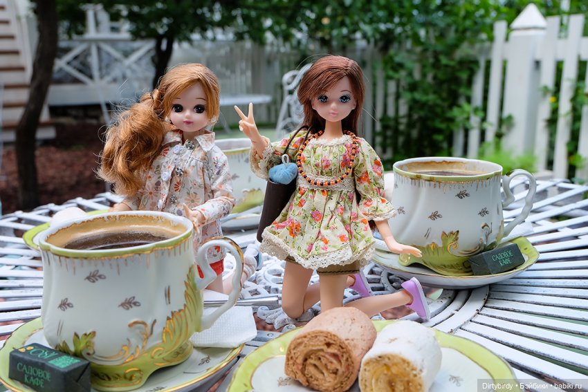 Чаепитие Ким Мари и Ликки в Коломне (фото 6)