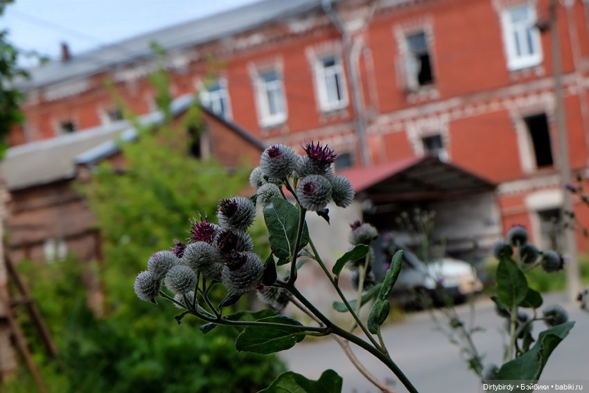 Романтика больших дорог с Ёнджуном и Ань Чже. Часть 1. Морозовский городок (фото 6)