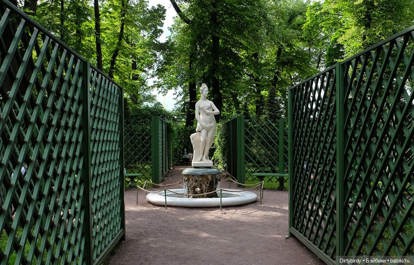 Летний сад, стихи и айдолы (фото 9)