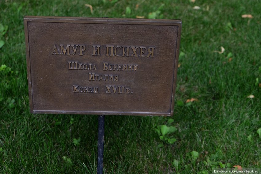 Летний сад, стихи и айдолы (фото 4)